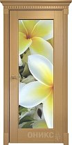 Дверь Оникс модель Техно цвет Анегри триплекс фотопечать Рис.31