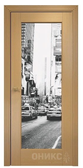 Дверь Оникс модель Техно цвет Анегри триплекс фотопечать Рис.18