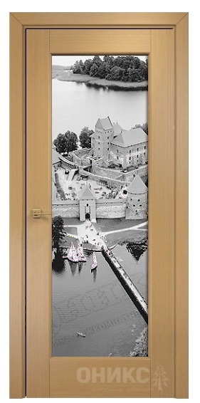 Дверь Оникс модель Техно цвет Анегри триплекс фотопечать Рис.46