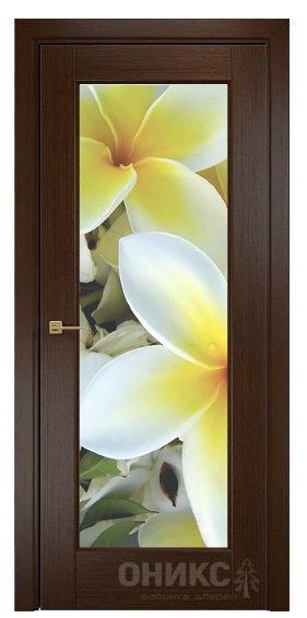 Дверь Оникс модель Техно цвет Венге триплекс фотопечать Рис.31