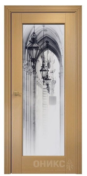 Дверь Оникс модель Техно цвет Анегри триплекс фотопечать Рис.58