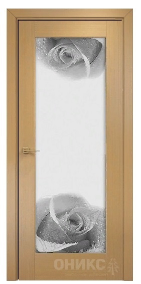 Дверь Оникс модель Техно цвет Анегри триплекс фотопечать Рис.11