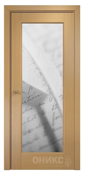 Дверь Оникс модель Техно цвет Анегри триплекс фотопечать Рис.44