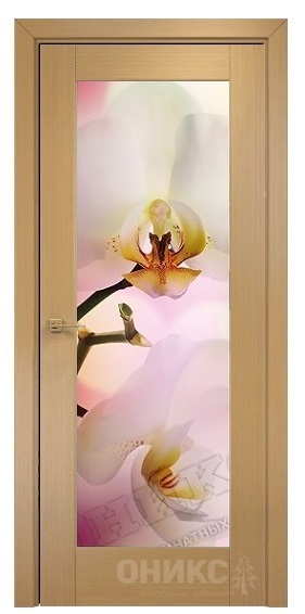 Дверь Оникс модель Техно цвет Анегри триплекс фотопечать Рис.21