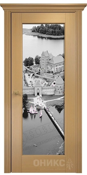 Дверь Оникс модель Техно цвет Анегри триплекс фотопечать Рис.46