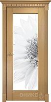 Дверь Оникс модель Техно цвет Анегри триплекс фотопечать Рис.9