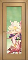 Дверь Оникс модель Техно цвет Анегри триплекс фотопечать Рис.23